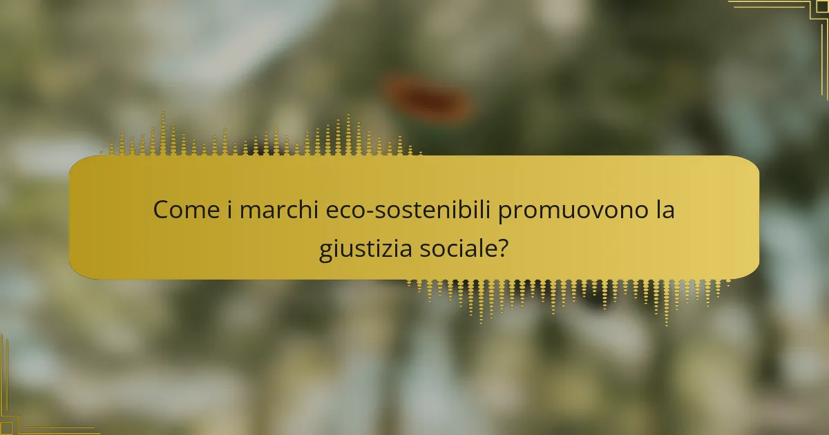 Come i marchi eco-sostenibili promuovono la giustizia sociale?