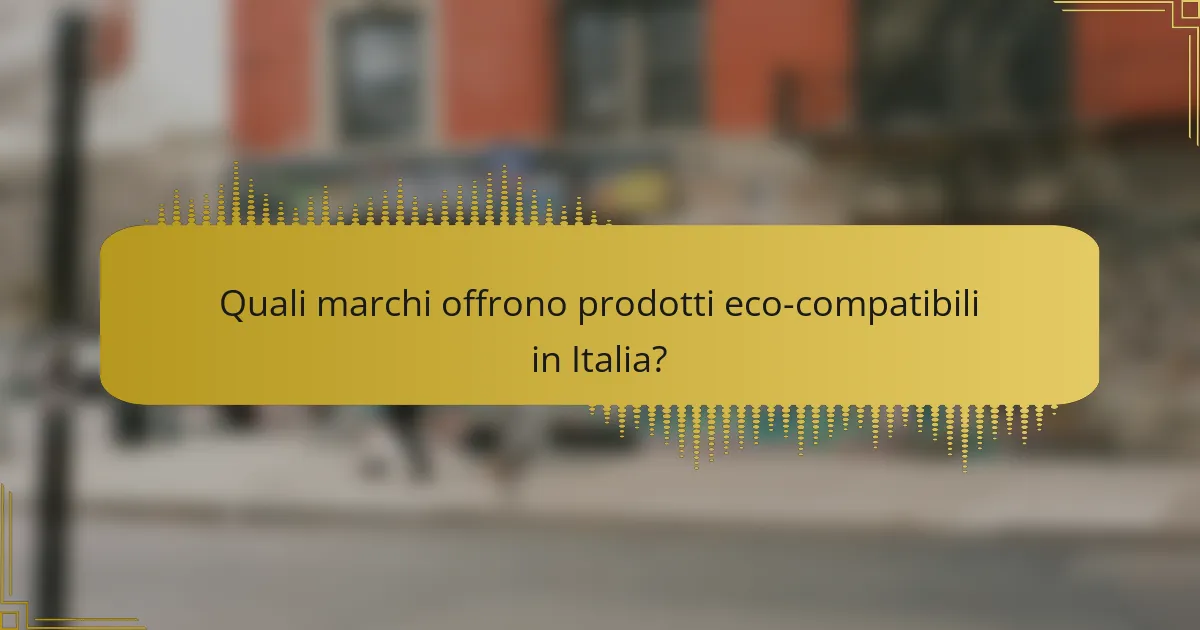 Quali marchi offrono prodotti eco-compatibili in Italia?