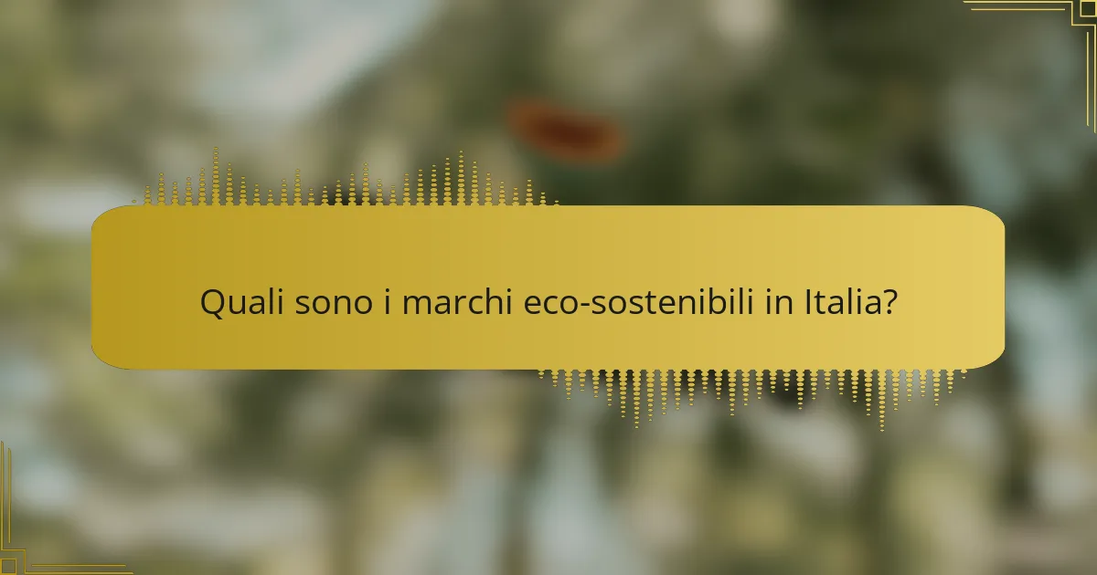 Quali sono i marchi eco-sostenibili in Italia?