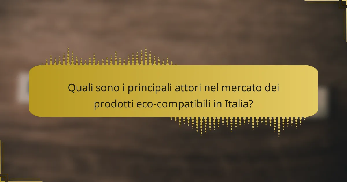 Quali sono i principali attori nel mercato dei prodotti eco-compatibili in Italia?