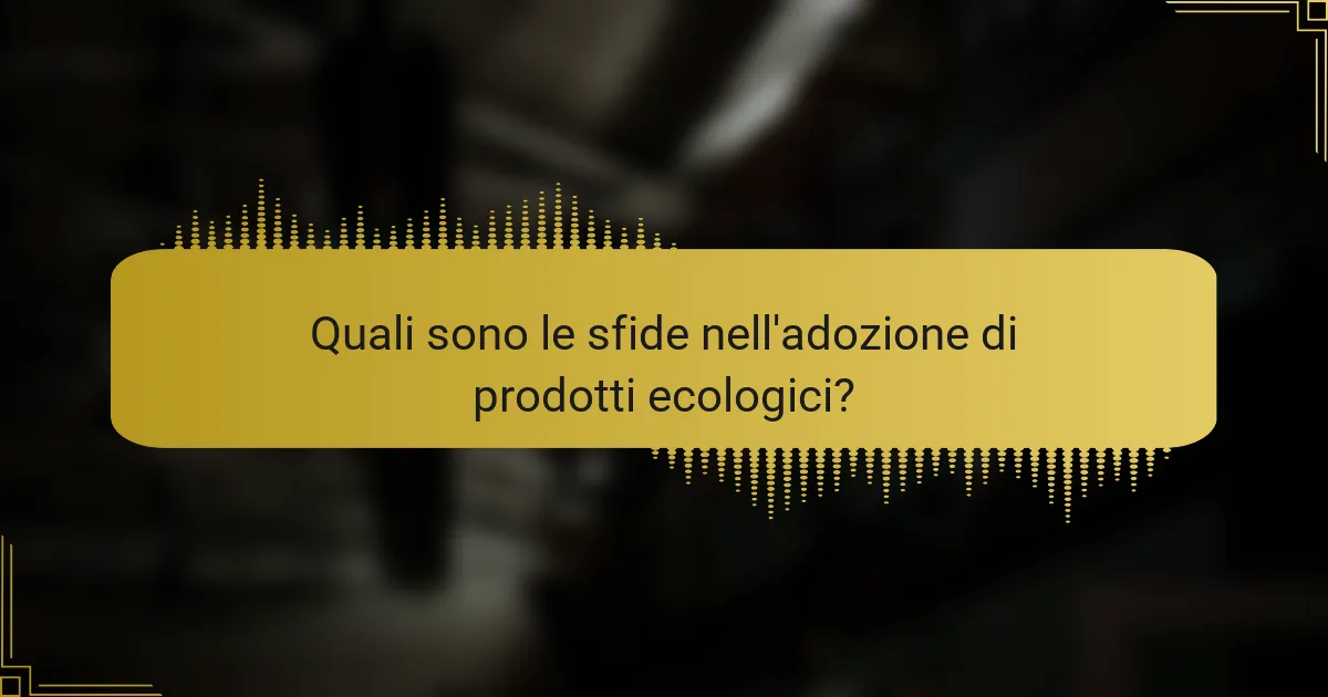 Quali sono le sfide nell'adozione di prodotti ecologici?