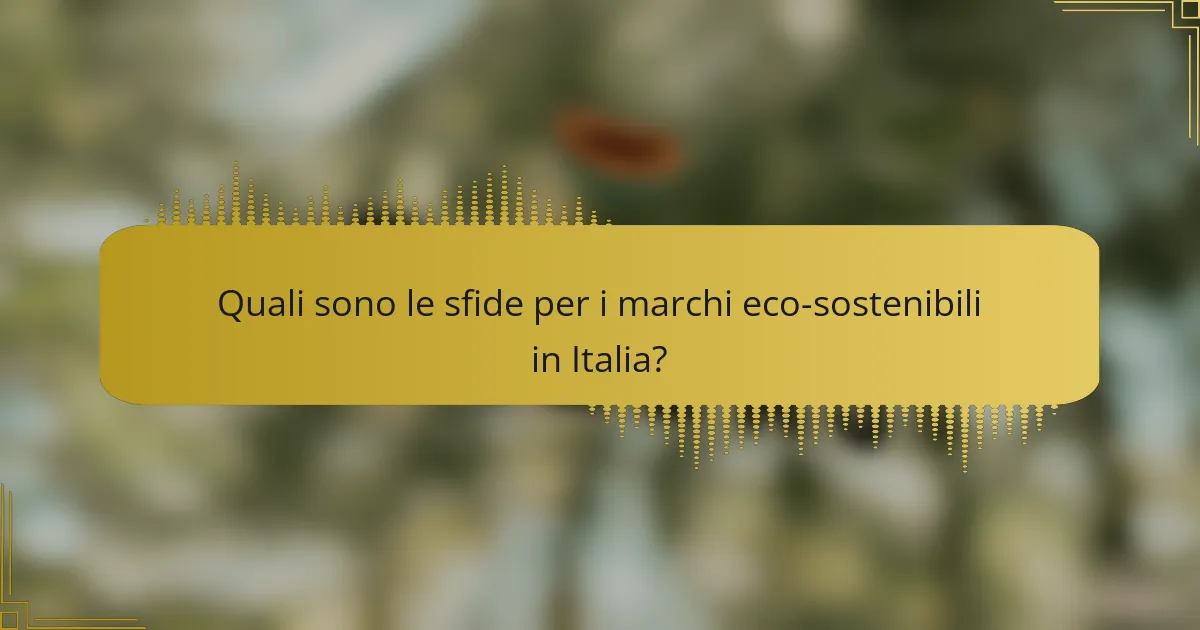Quali sono le sfide per i marchi eco-sostenibili in Italia?